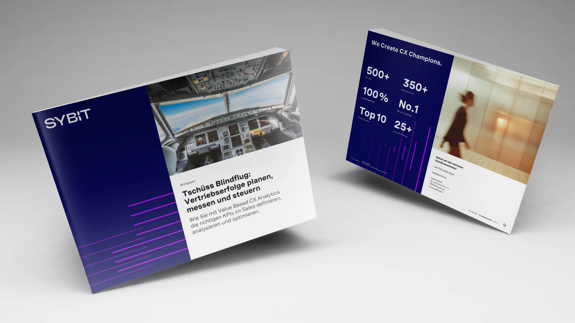 Whitepaper: Value-Based Sales Analytics