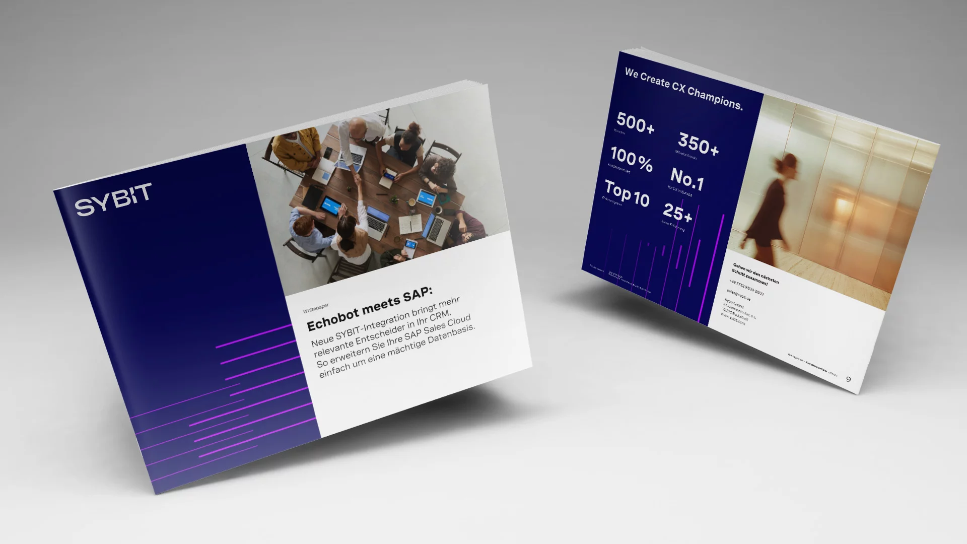 Whitepaper Dealfront meets SAP