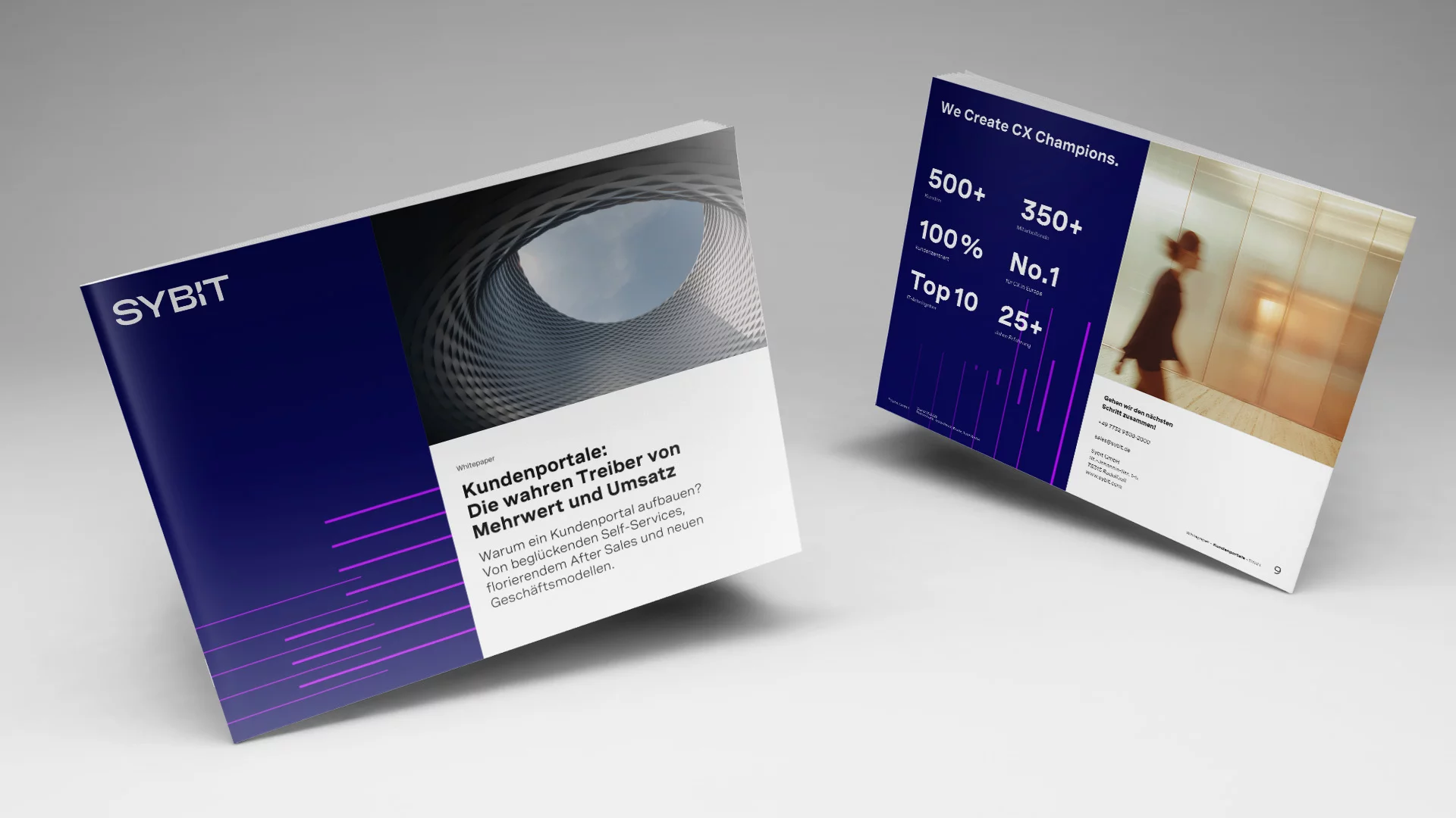 Whitepaper Kunden&shy;portale