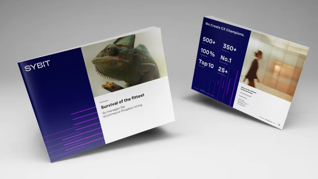 Whitepaper: eCommerce-Projekte richtig managen